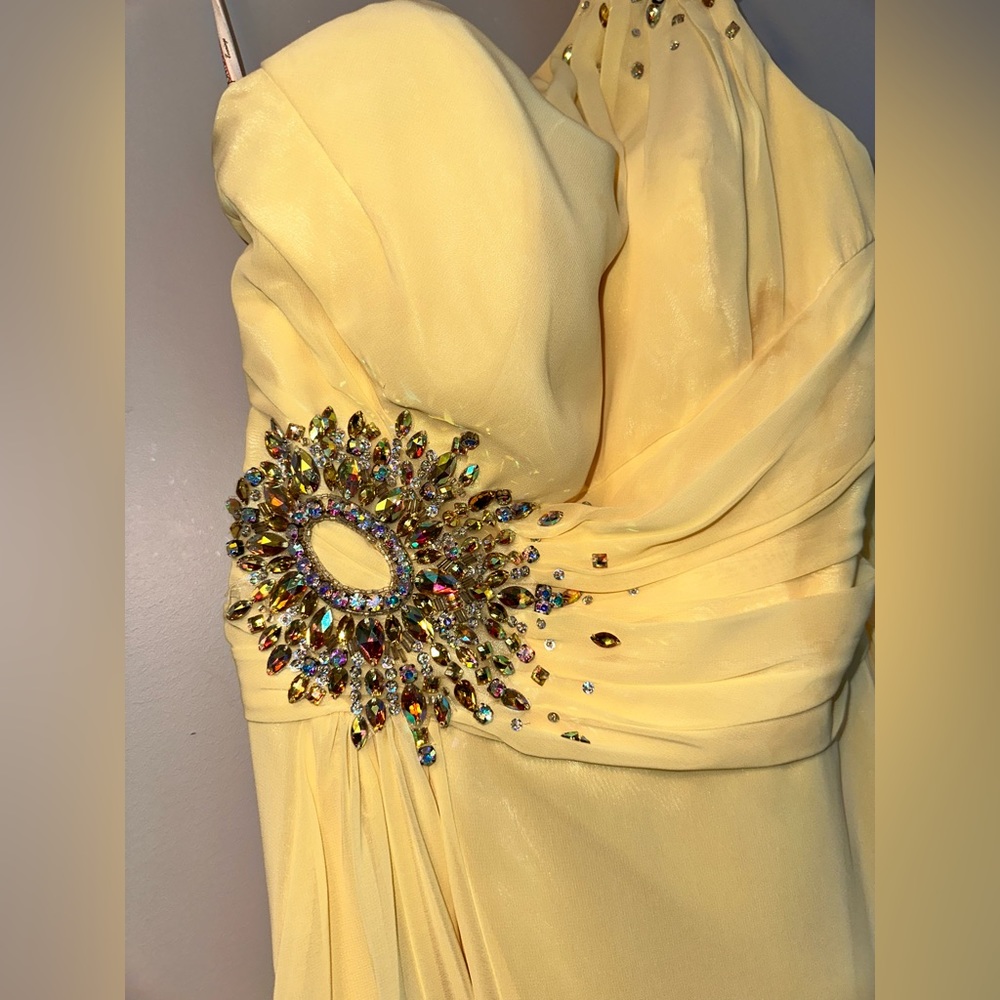 Tony Bowls evening gown. One sleeve. Swarovski embroidery on waist and shoulder